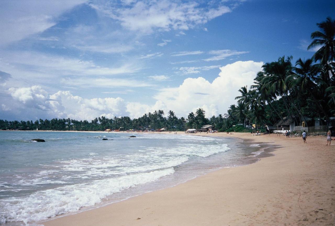 Surf Sea Breeze Hotel Mirissa Exterior photo